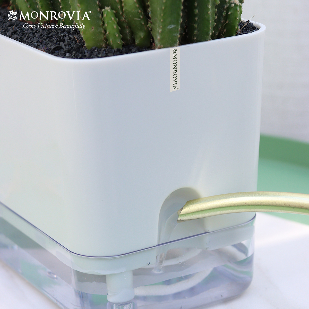 Chậu trồng cây tự tưới để bàn Monrovia, thiết kế thông minh, decor văn phòng, trong nhà, sang trọng, Tiêu chuẩn Châu Âu