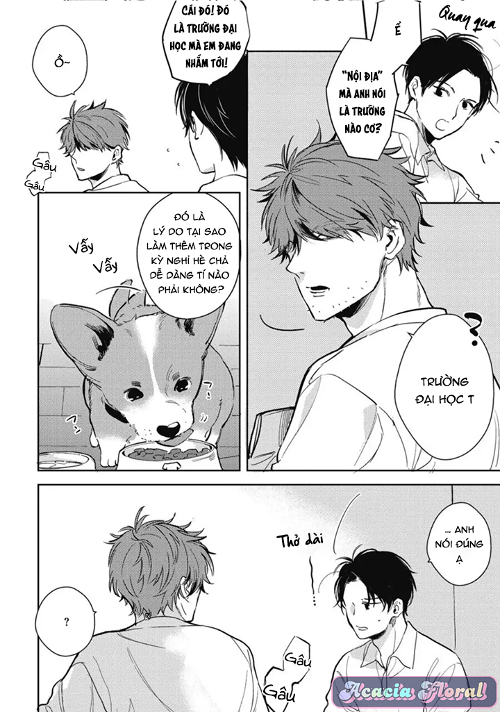 hàng xóm nhà bên chapter 1 16