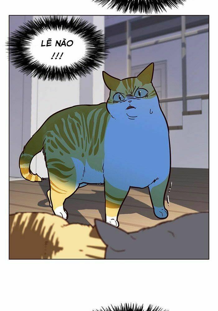 biến thân thành mèo chapter 11 34
