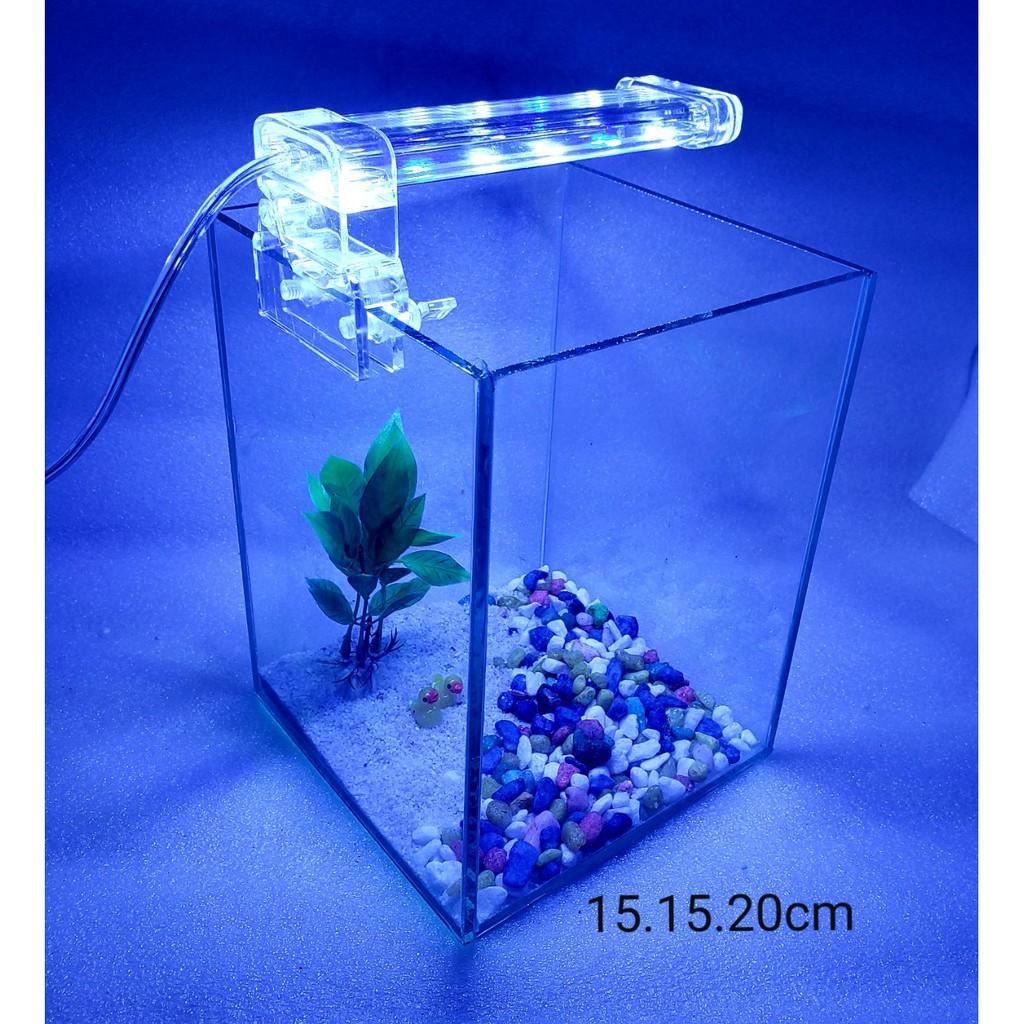 Bể cá mini - bể cá mini để bàn cao20cm - BCC20c