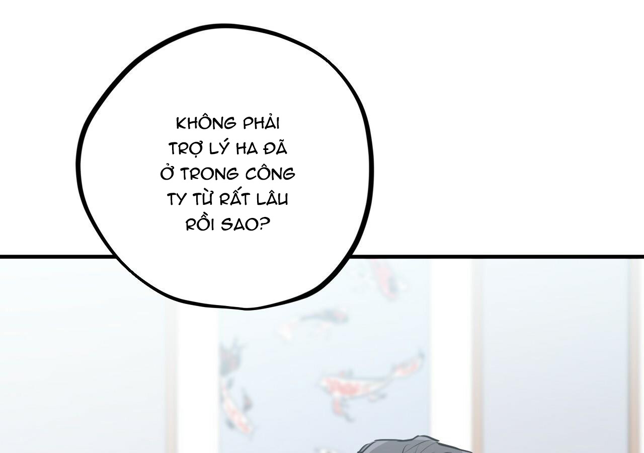 đàn thỏ của habibi chapter 20 152