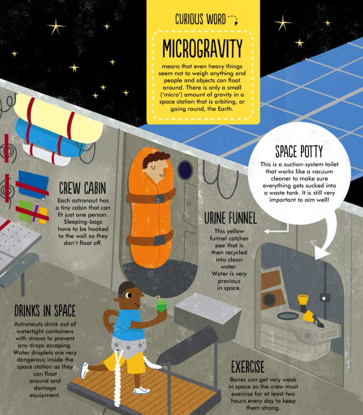 Facts: Essential Knowledge For Curious Kids