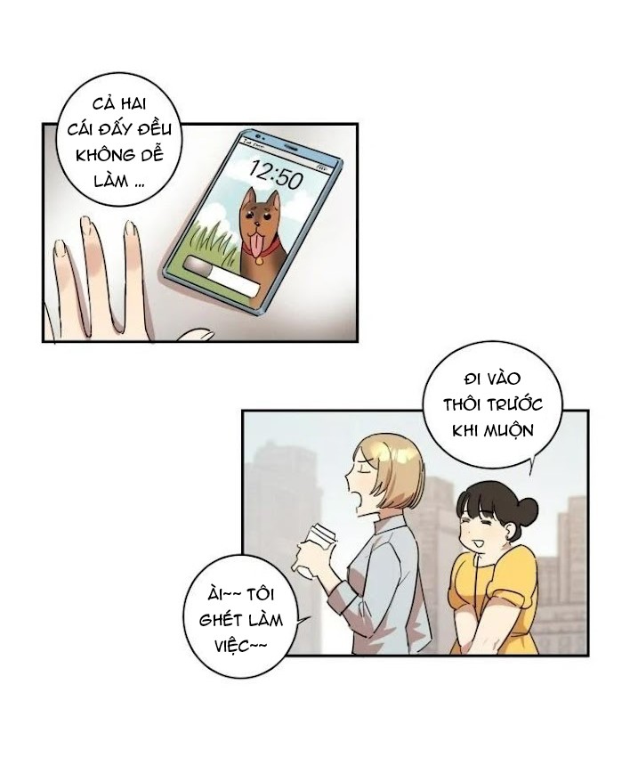 công dụng của cà vạt chapter 8 16