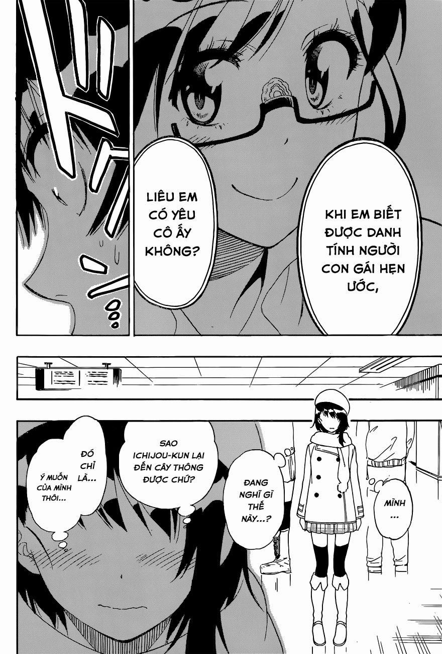 nisekoi - tình yêu giả tạo chapter 167 14