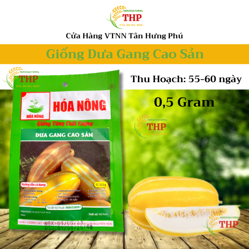 Hạt giống Dưa Gang Cao Sản | Hạt Giống | gói 0.5gr