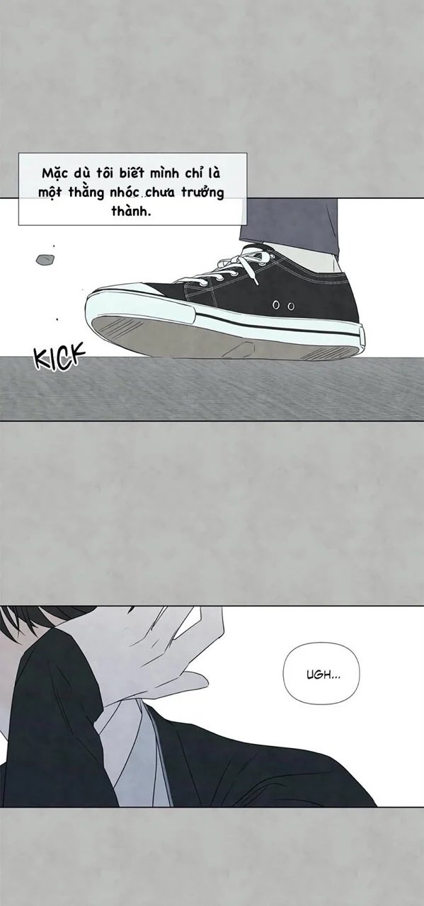 summer solstice point chapter 20 50