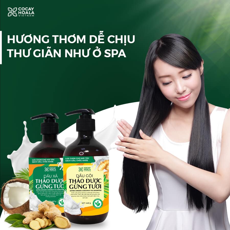 Combo 2 Dầu gội thảo dược gừng dừa Cocayhoala giảm rụng tóc, kích thích mọc tóc vượt trội, đặc biệt chăm sóc an toàn cho mẹ bầu mẹ sau sinh 