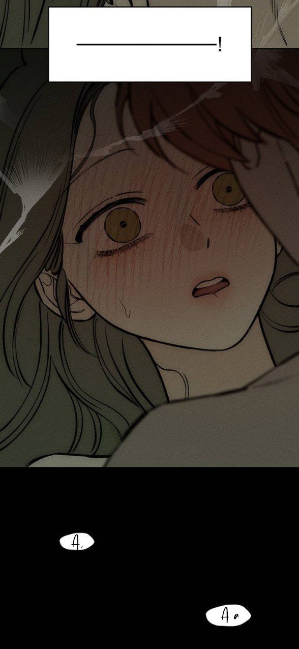 [18+] Nước Mắt Trên Đóa Hoa Tàn chapter 42.1 40