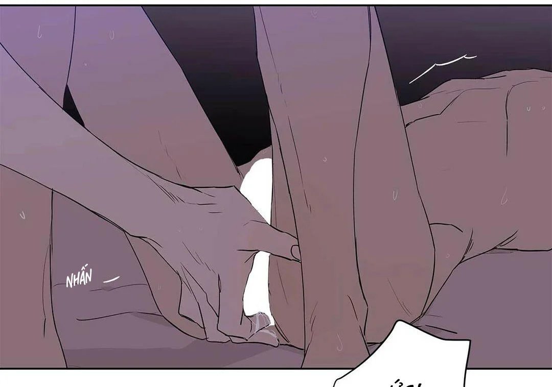 guide cấp b chapter 21 28