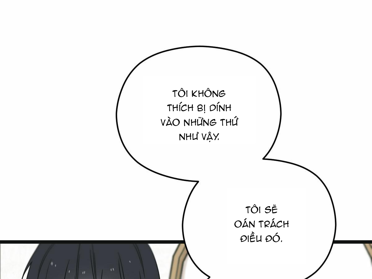 tương phùng chapter 13 177