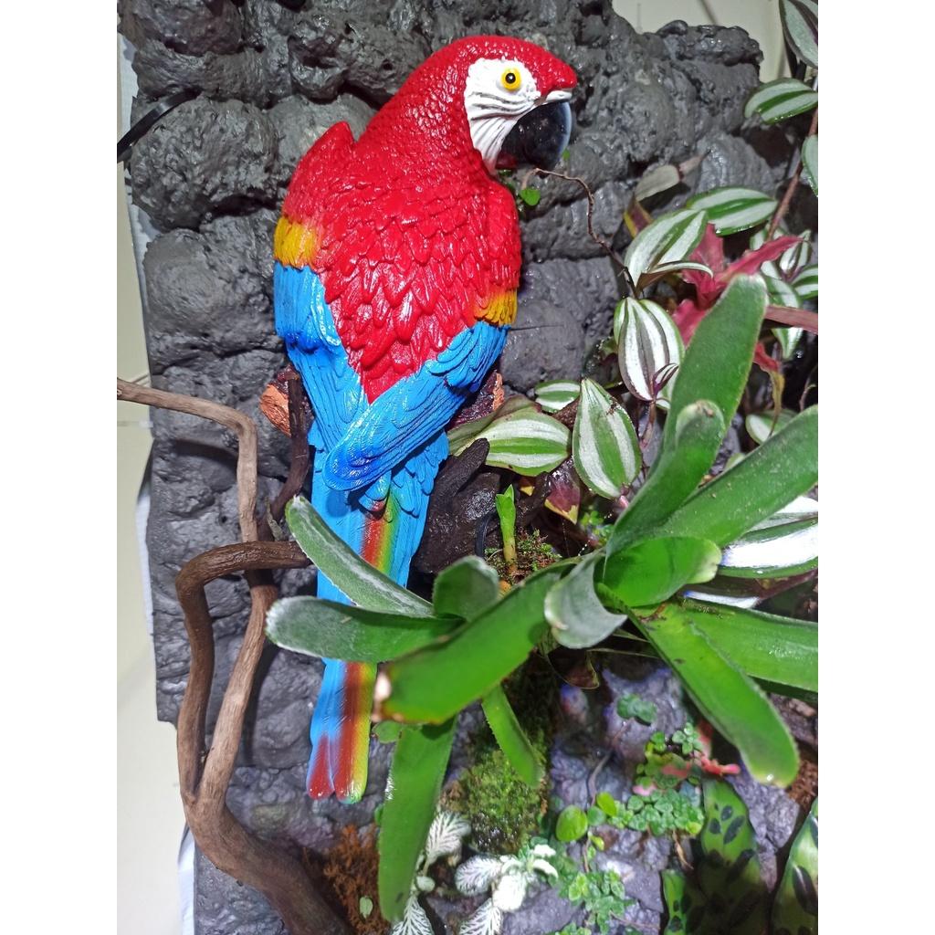 Mô hình chim vẹt - trang trí lũa bể cá- bán cạn, terrarium - mô hình trang trí tiểu cảnh-shopleo