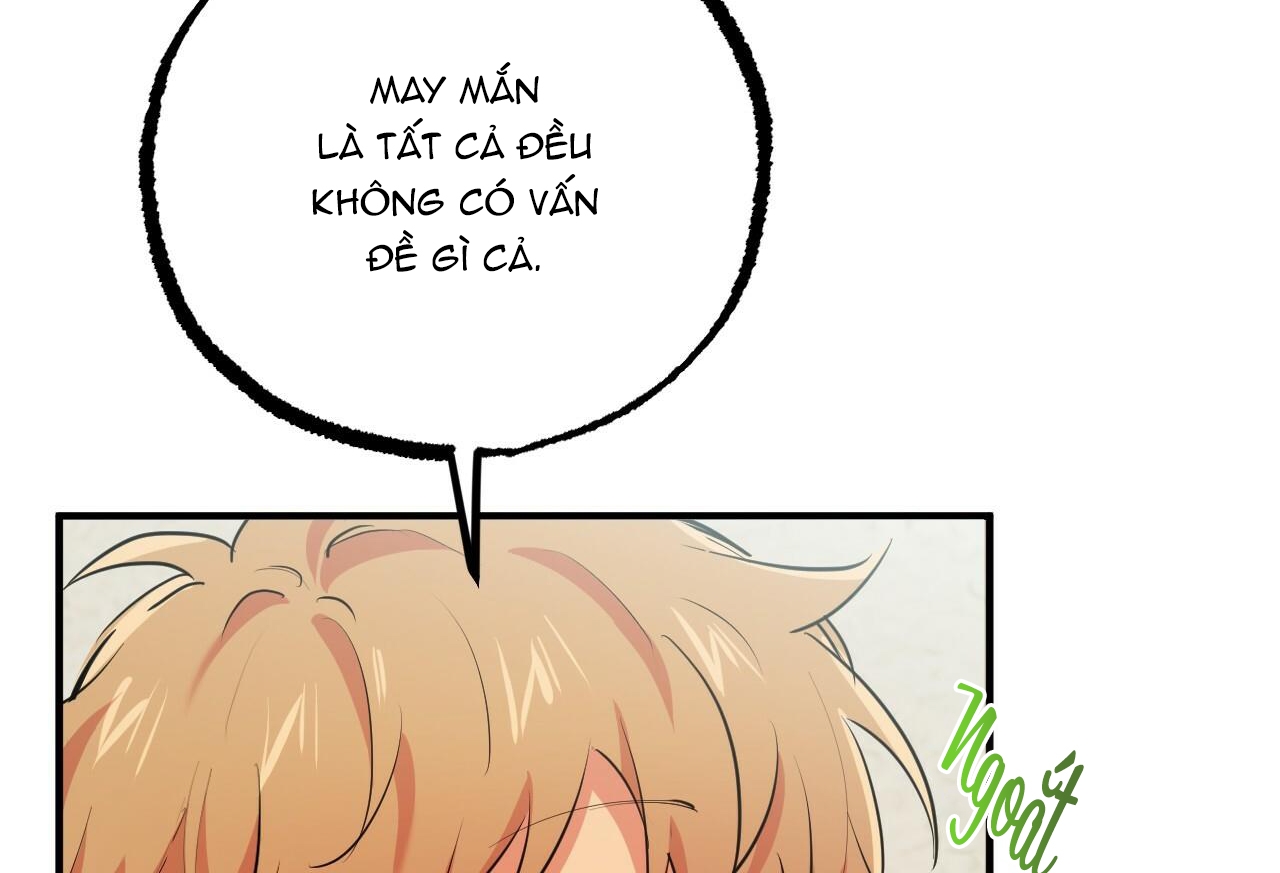 đàn thỏ của habibi chapter 32 12