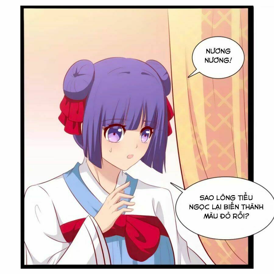 thỏ yêu tiểu vương phi chapter 40 10