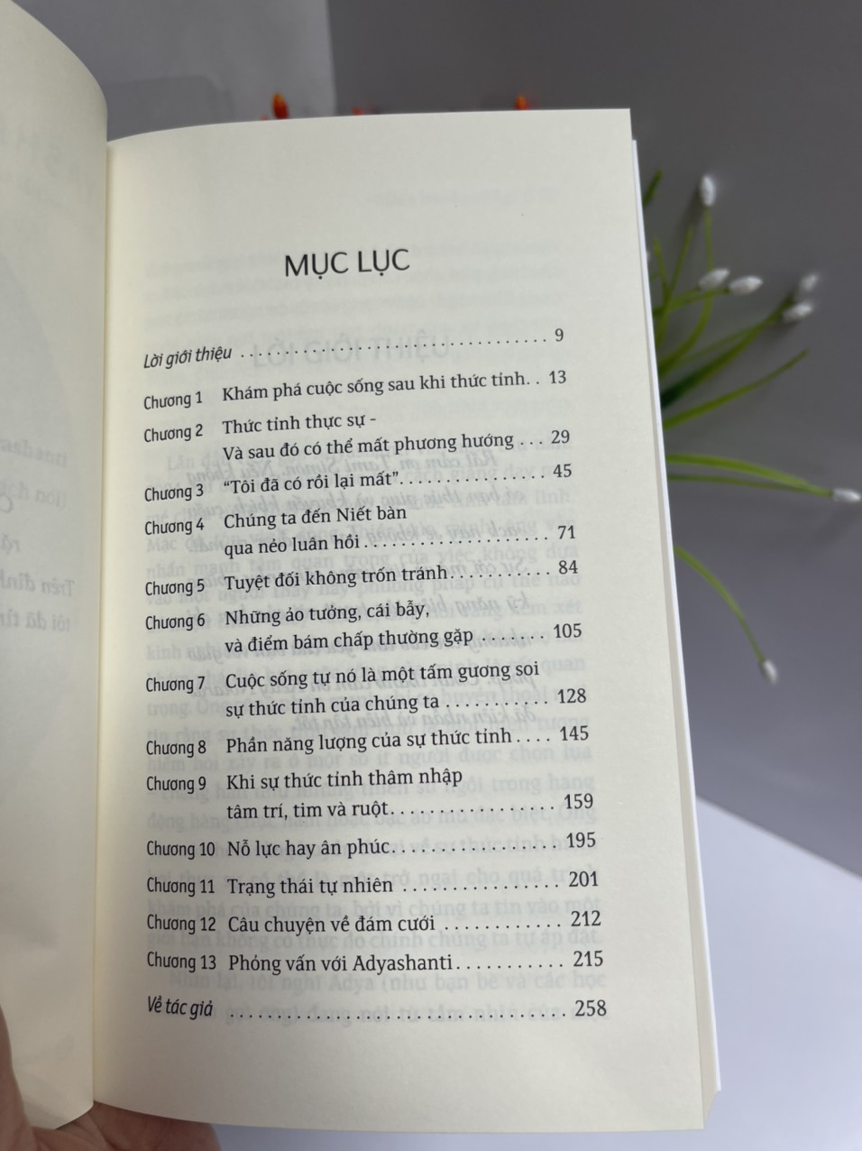HÀNH TRÌNH GIÁC NGỘ – Adyashanti – Phạm Hải Anh dịch – Saigonbooks – NXB Thế Giới