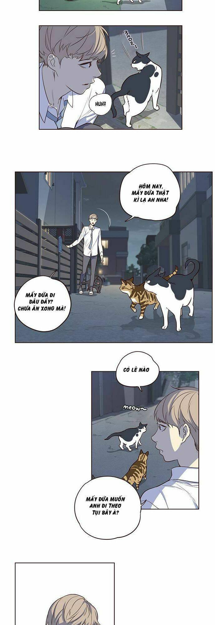 biến thân thành mèo chapter 1 22