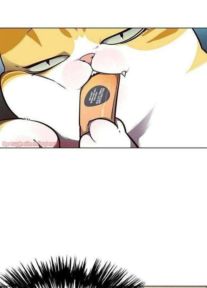 biến thân thành mèo chapter 50 9