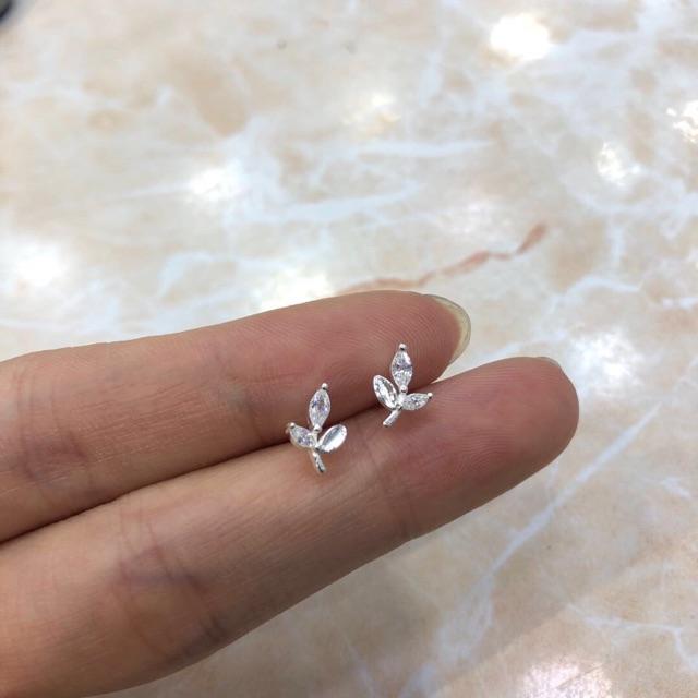 Khuyên tai cành lá oliu ôm vành tai bạc ta