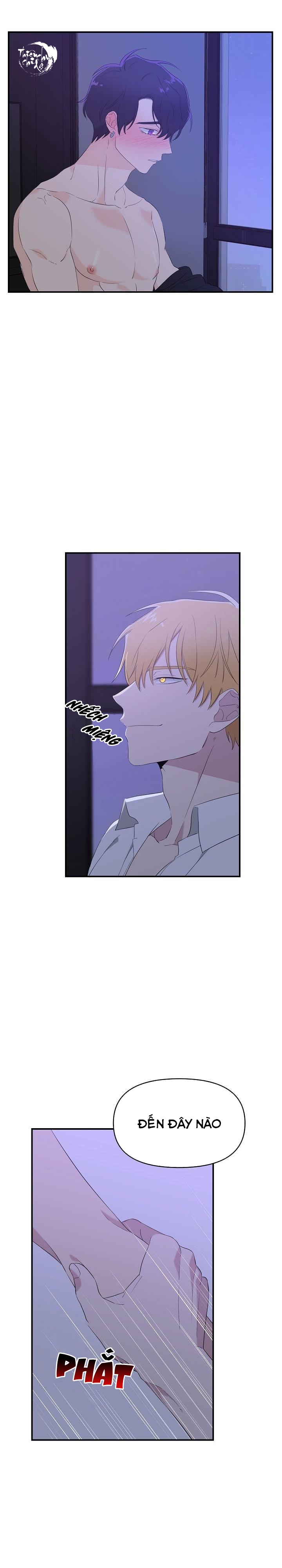 hoa ly hổ chapter 11 4