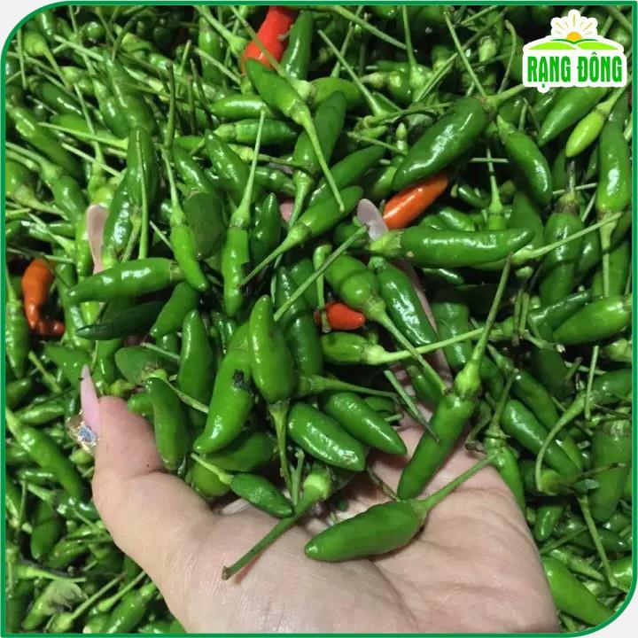 Hạt giống Ớt Xiêm Rado 712 (0,2g~40 hạt) giống cao sản, trái sai, cay nồng, trồng quanh năm - Hạt giống Rạng Đông