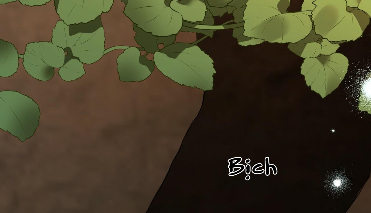 đàn thỏ của habibi chapter 48 288