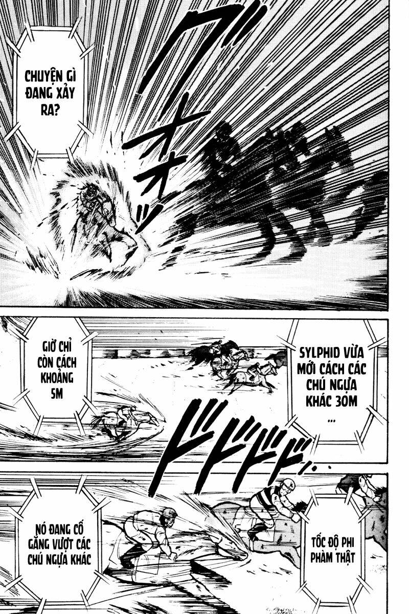 kaze no sylphid - phong mã silphid chapter 14 18