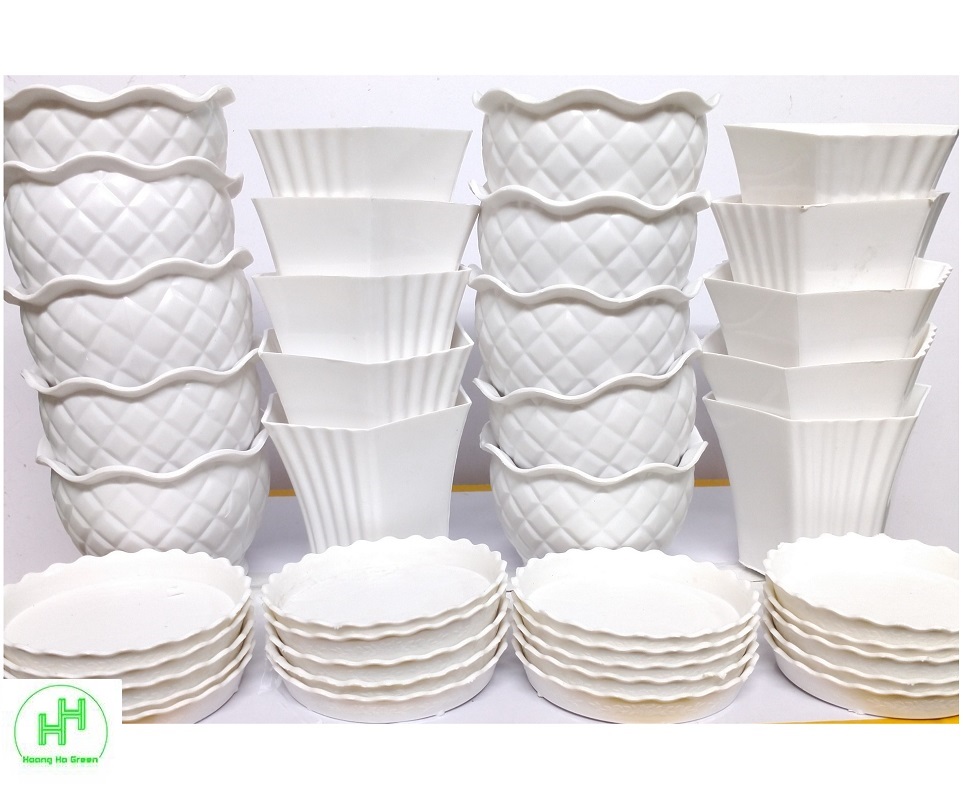 Combo 10 Chậu quả Dứa + 10 Chậu Lục giác  Sen đá , trồng cây mini,  xương rồng, cây để bàn, sen đá