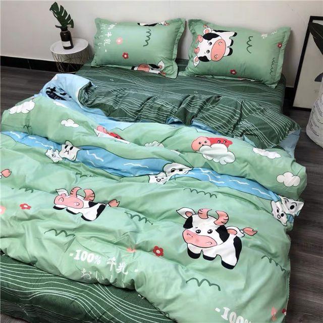 Sét Chăn Ga Gối Đệm Poly Cotton, Drap Ga Trải Giường 