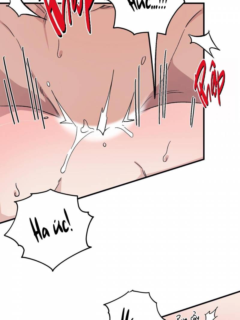 chàng dâu nhà họ kang chapter 50 102