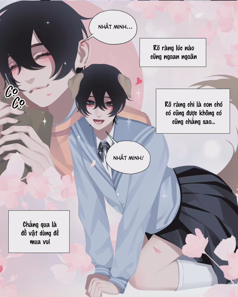 mệnh lệnh chapter 19 2