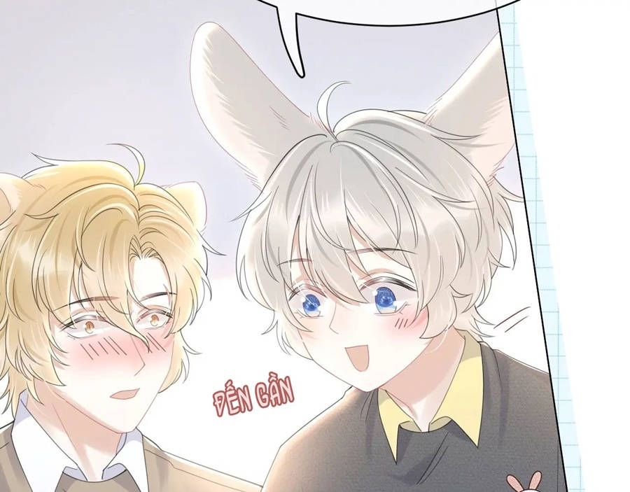 ăn một bé thỏ chapter 27 30