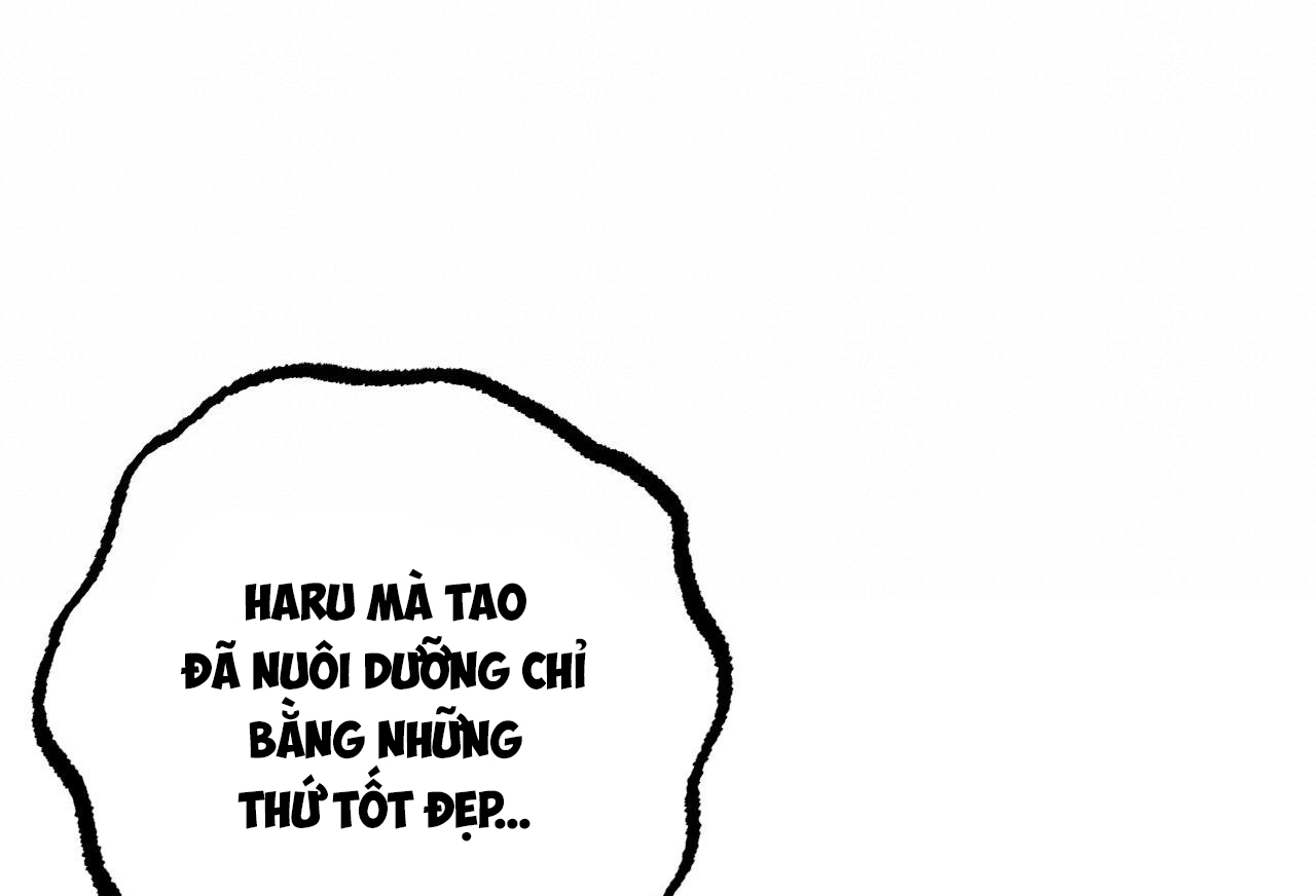 đàn thỏ của habibi chapter 57 236