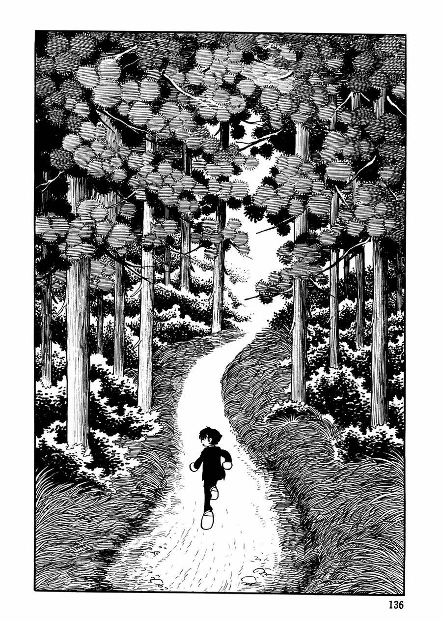 the crater chapter 13 10