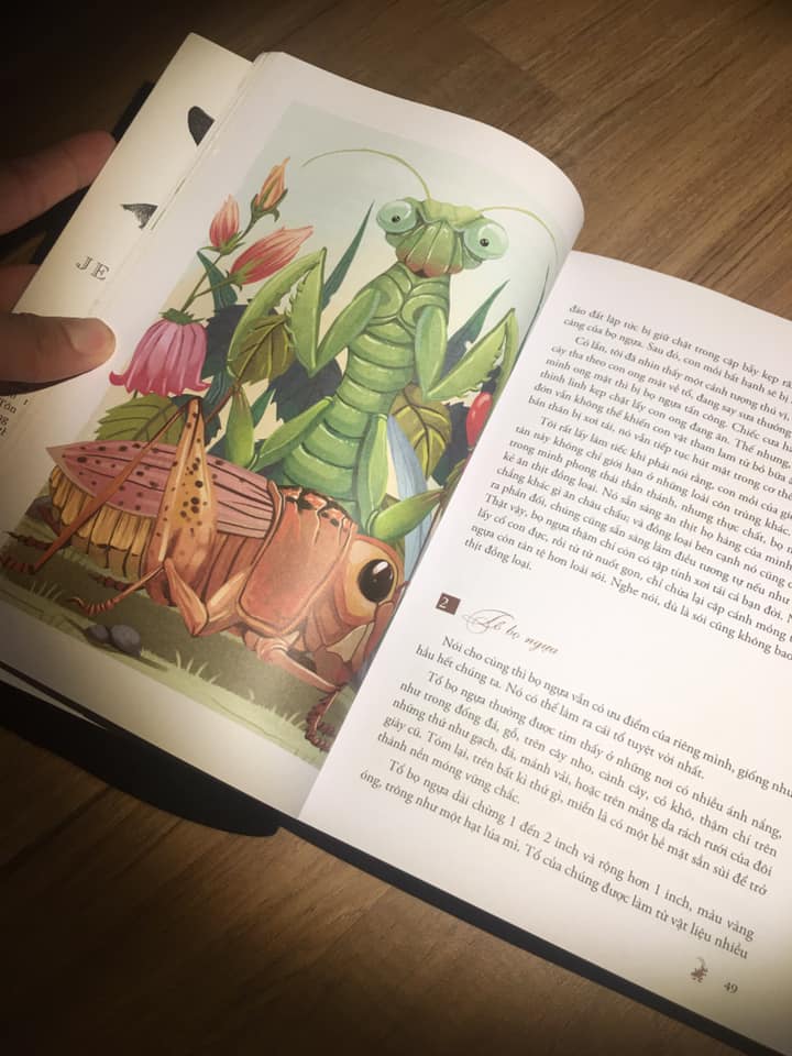 Côn Trùng Ký Của Fabre