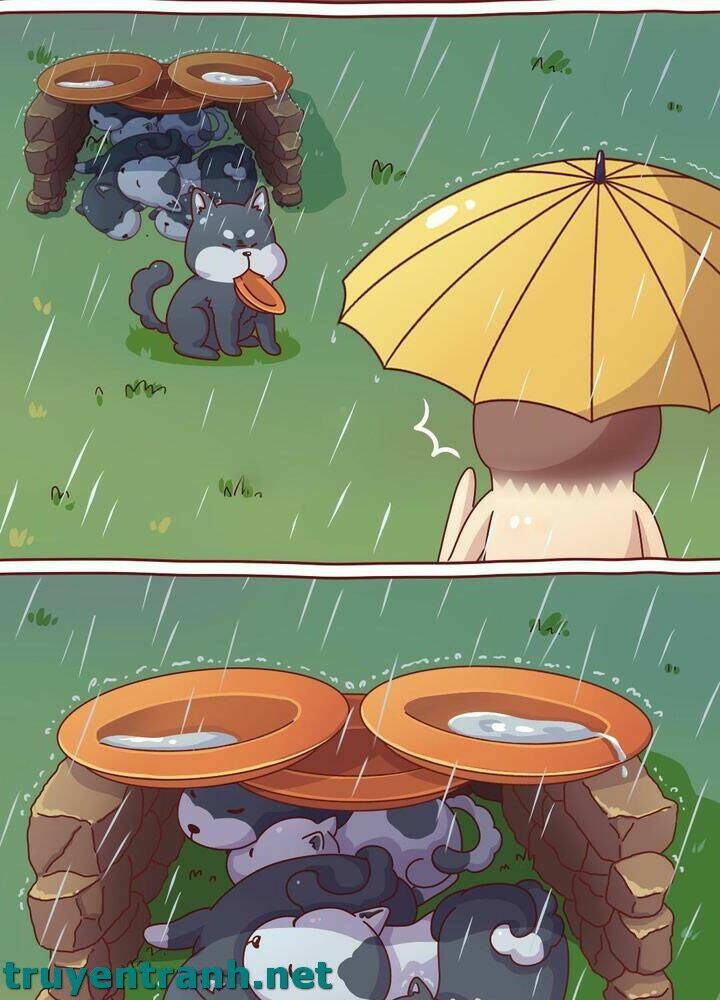 cây nấm kì khả chapter 10 11