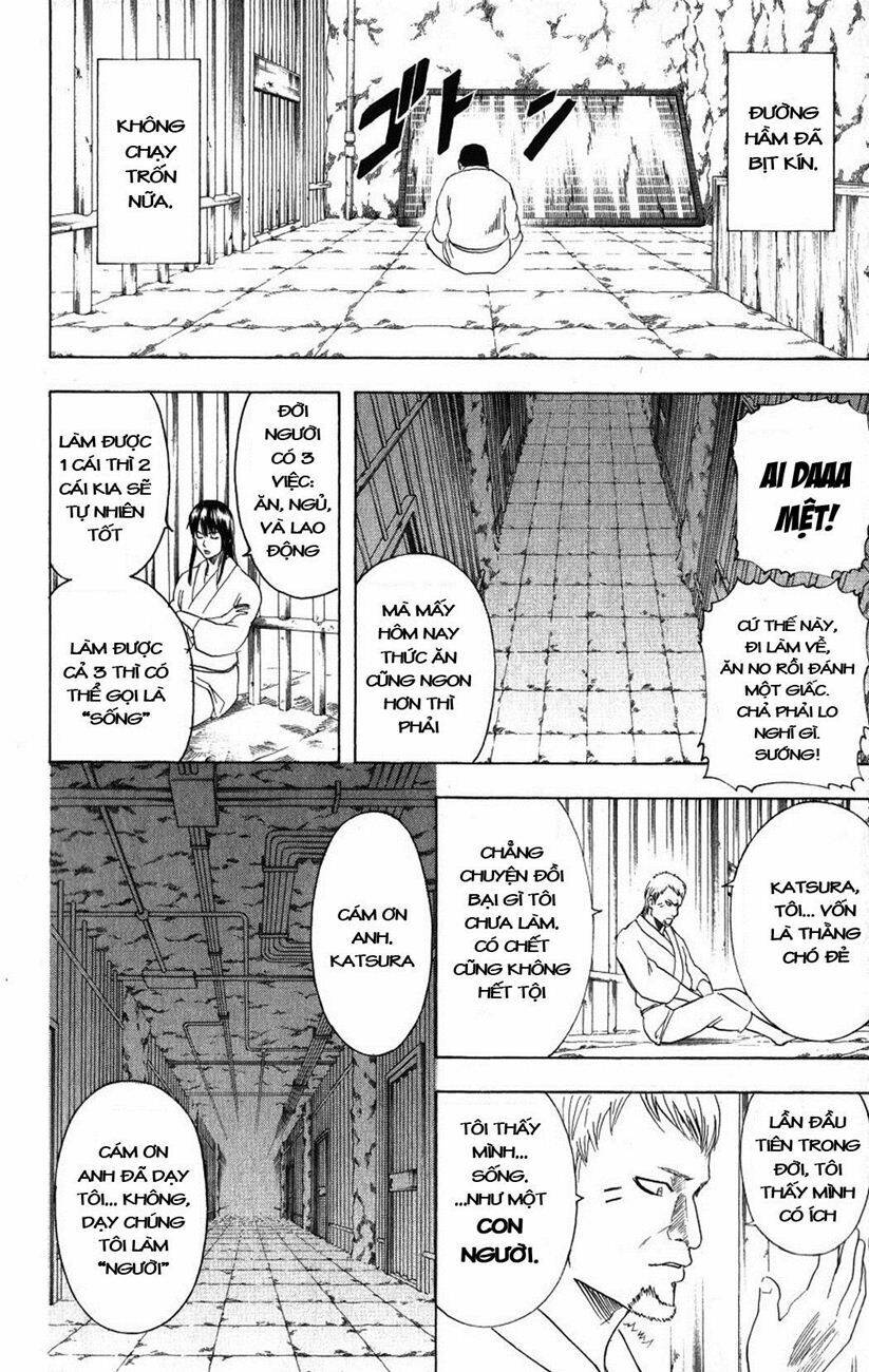 gintama - linh hồn bạc chapter 194 12