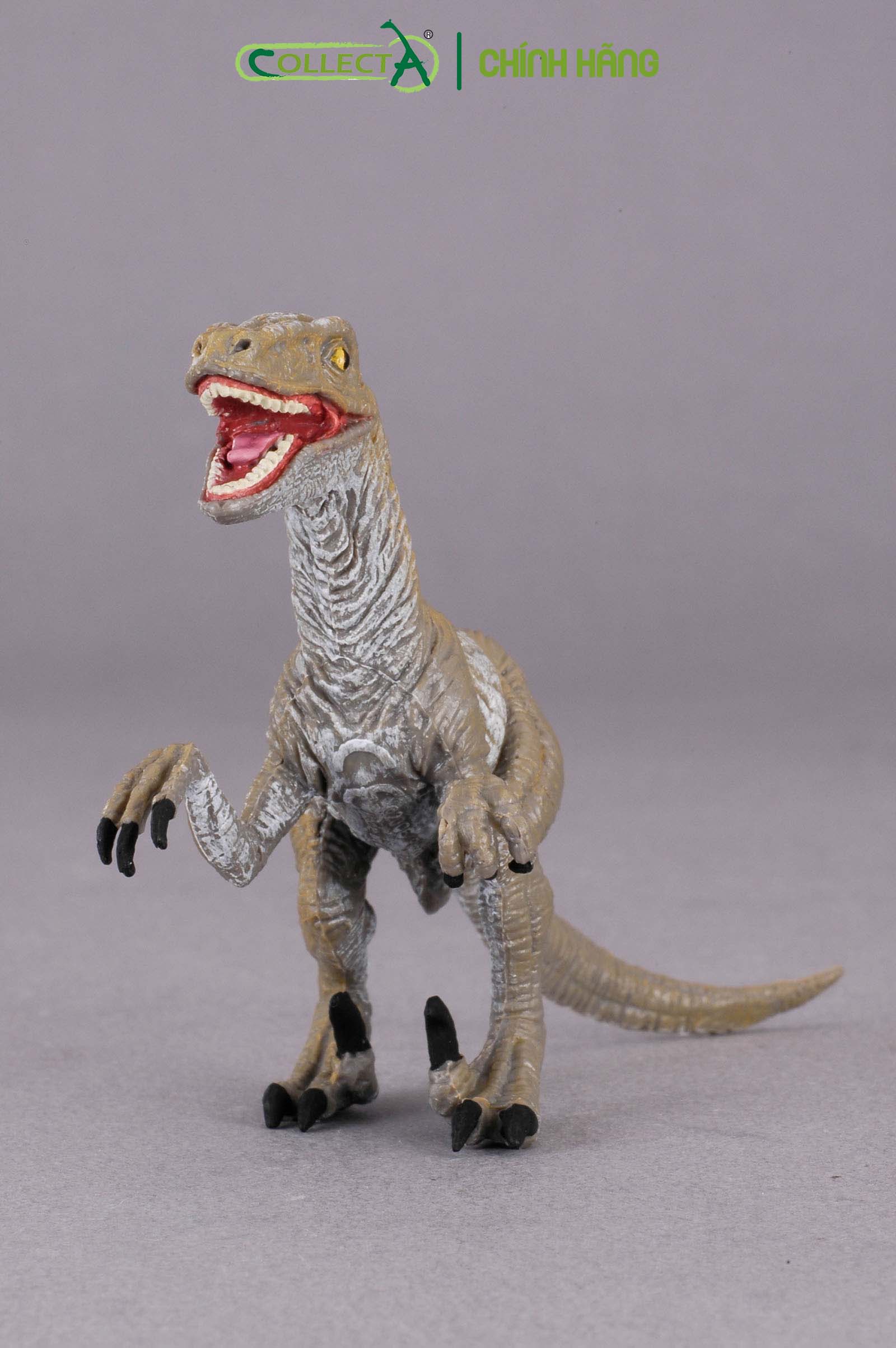 Mô hình thu nhỏ: Khủng Long Velociraptor - Velociraptor, hiệu: CollectA, mã HS 9654180 - Chất liệu an toàn cho trẻ - Hàng chính hãng
