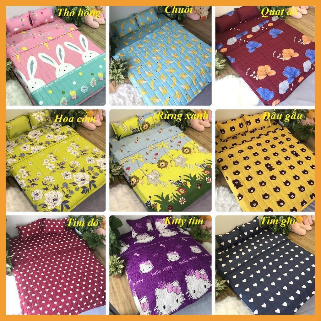Lẻ = sỉ bộ ga chun cotton poly m6 hoặc m8