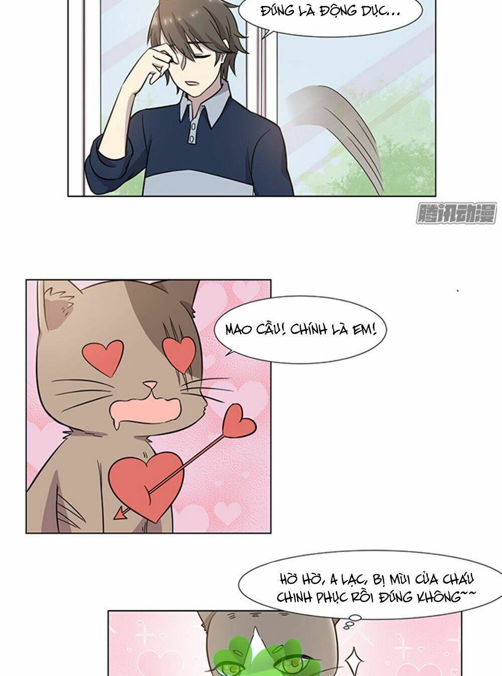 hai chú mèo totem chapter 30 10