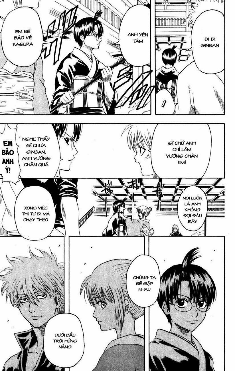 gintama - linh hồn bạc chapter 217 5