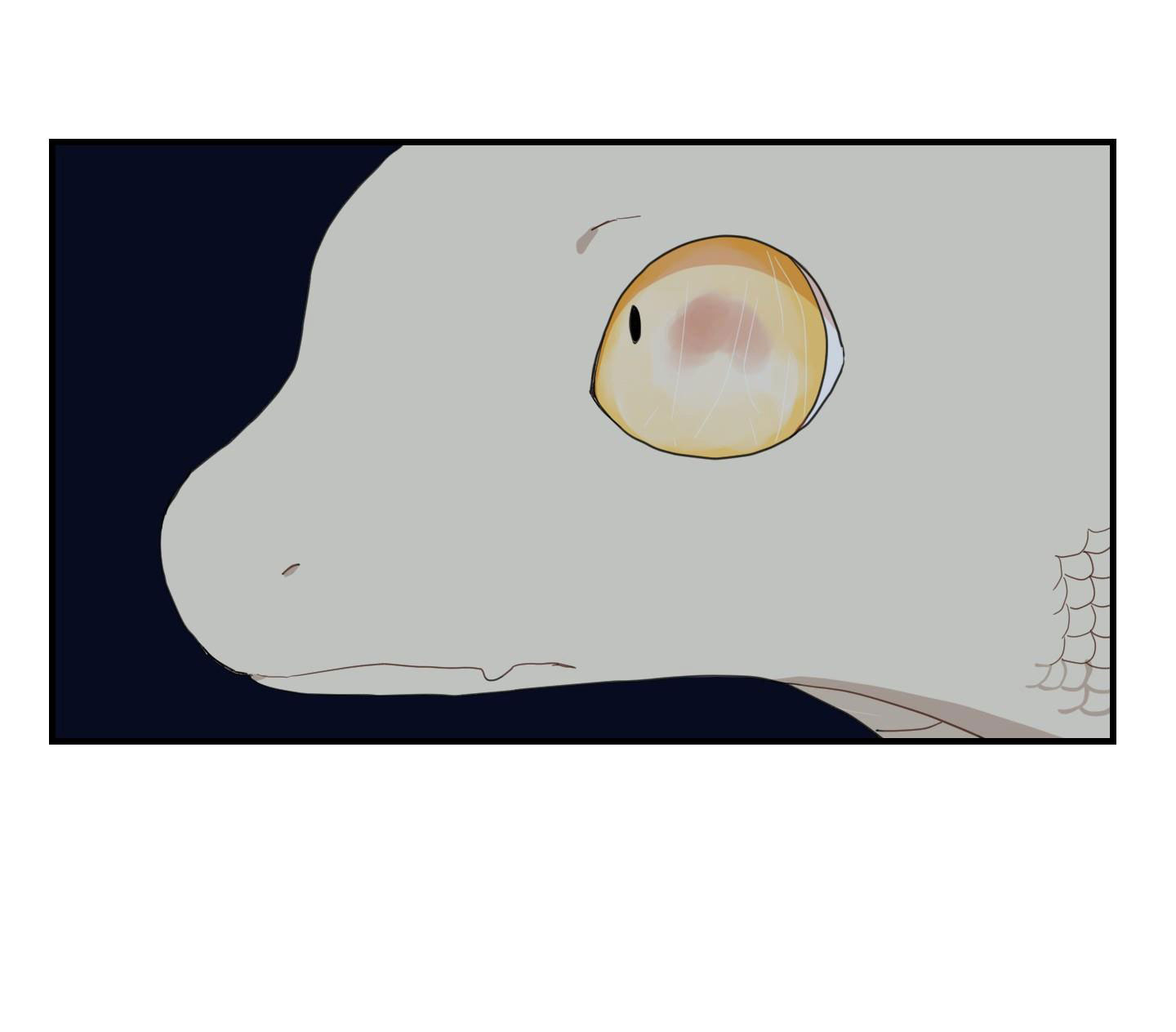 đường hoa liên kiều rơi chapter 3 9