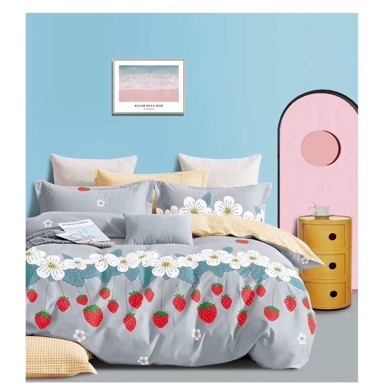Sale chăn ga 5 món 100% cotton Hàn Quốc cao cấp đủ size giá sỉ