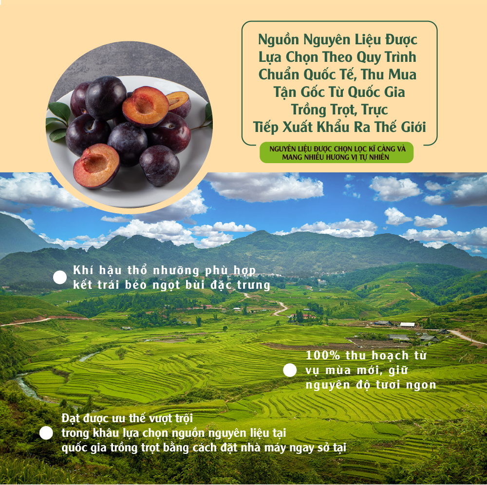 Mận Khô 120g Dan D Pak