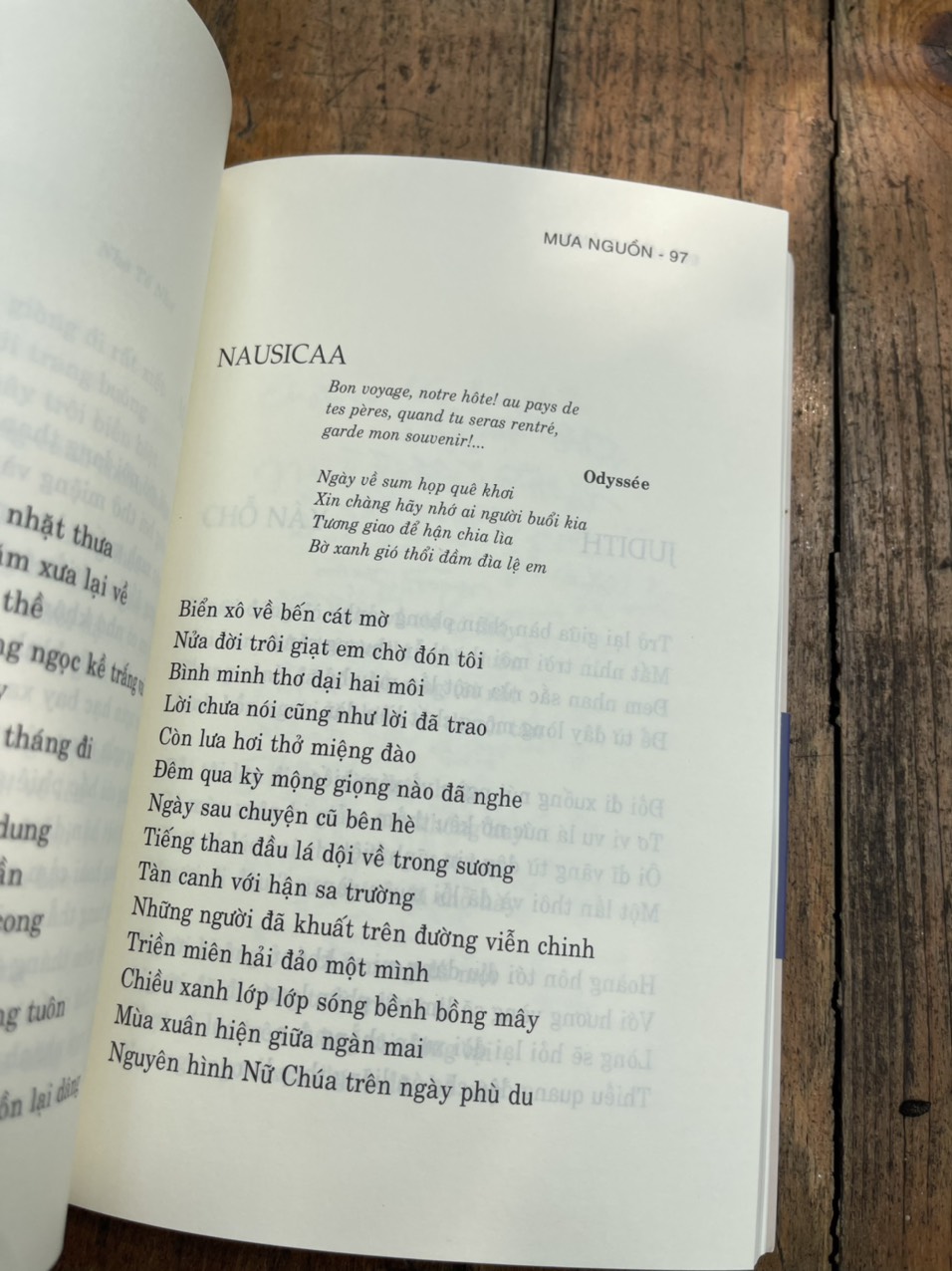 ) MƯA NGUỒN - Bùi Giáng - Thư Quán Hạnh Phúc – bìa mềm