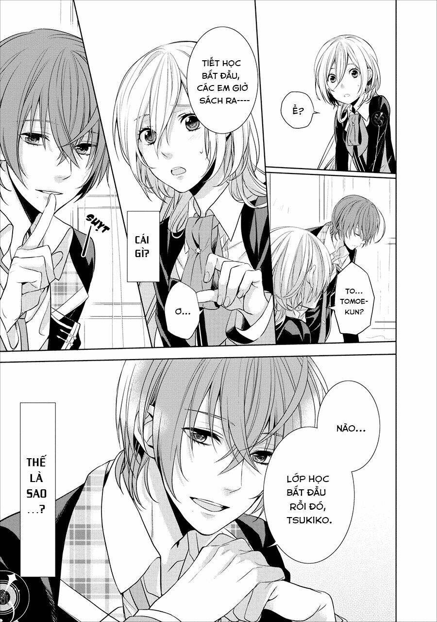 starry sky - in spring chapter 1 8