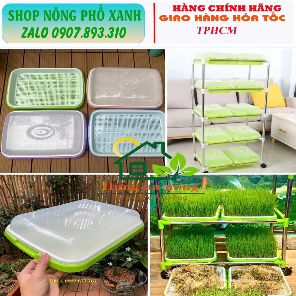 Bộ khay nhựa PP nguyên sinh trồng rau mầm, cỏ lúa mì có 4 màu lựa chọn