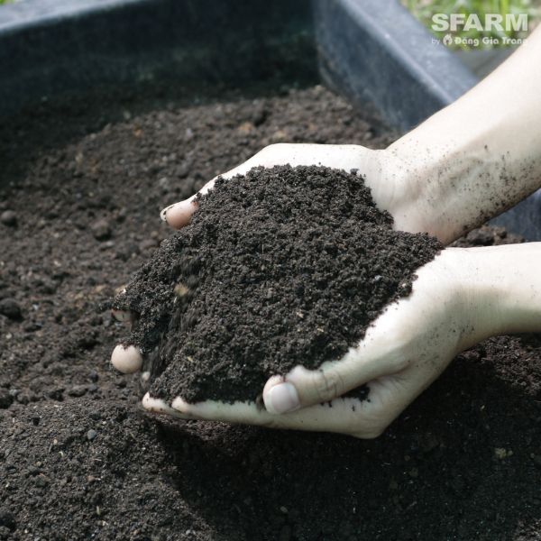 Đất thịt đa dụng Sfarm 20dm3 nặng khoảng 14kg