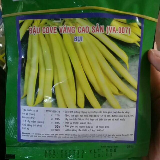 Đậu cove vàng cao sản 50g