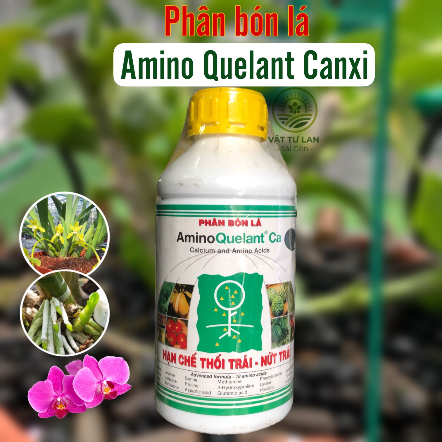 PHÂN BÓN LÁ CAO CẤP AMINO CANXI - 1 LÍT
