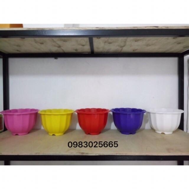 Combo 10 chậu nhựa đủ màu có dây treo đường kính 22cmx16cm trồng cây và hoa