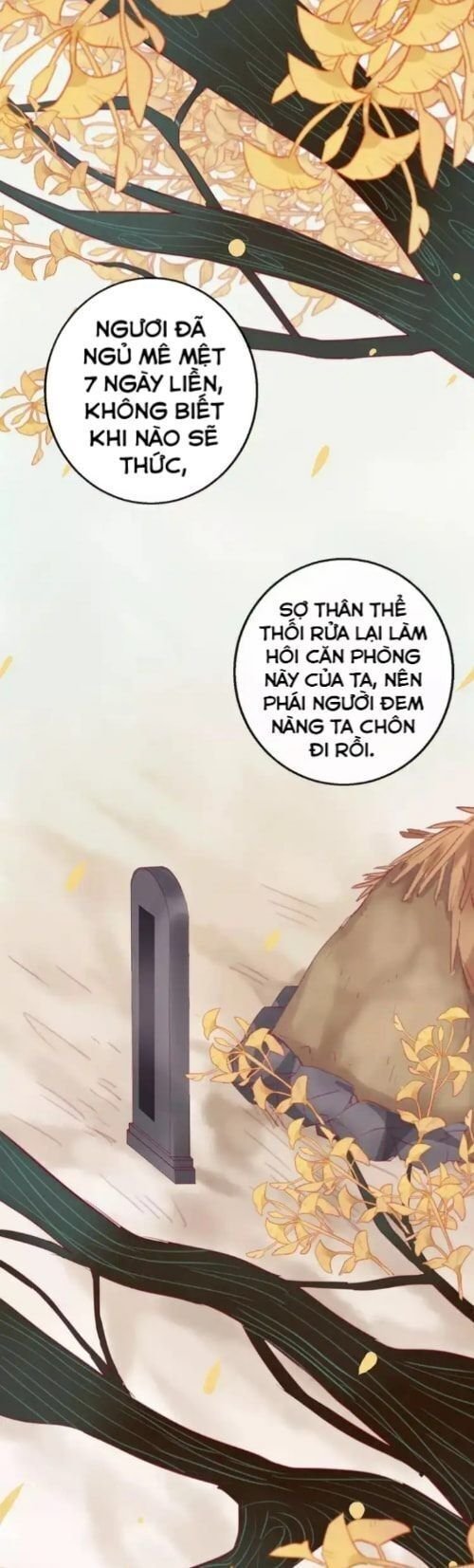 hồ minh chi hương chapter 2 24